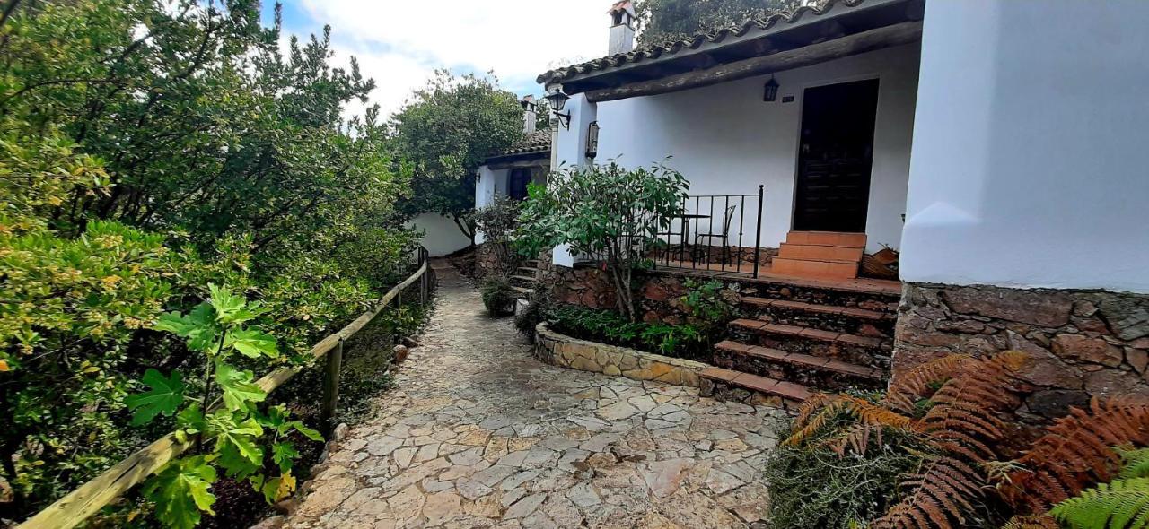 Finca Valbono Apartamentos Rurales Y Hotel Aracena Luaran gambar