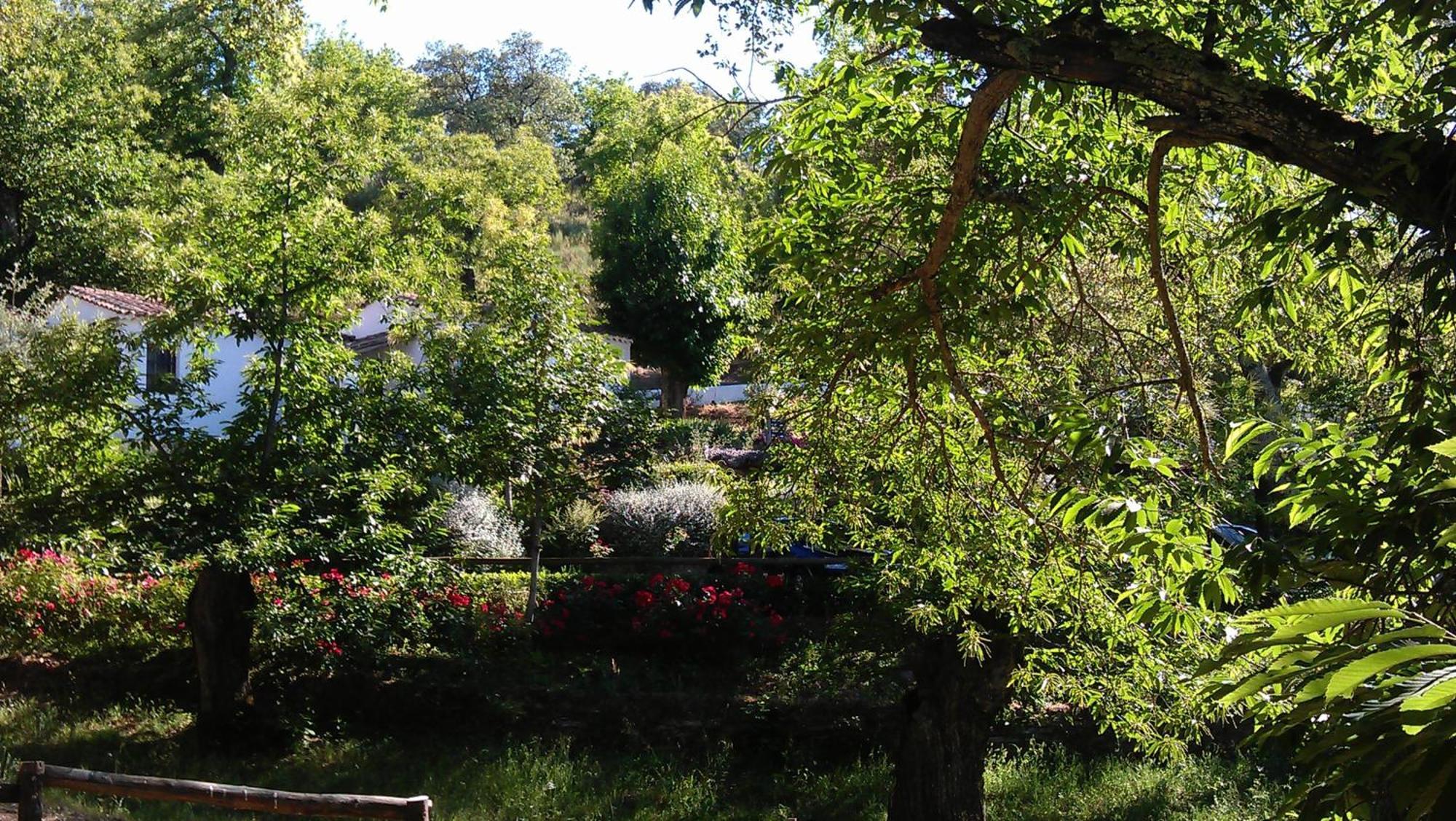 Finca Valbono Apartamentos Rurales Y Hotel Aracena Luaran gambar